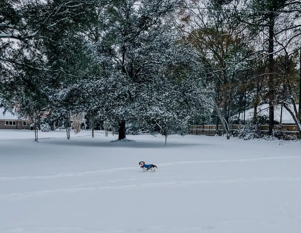 Trust your business roots when growth is slow